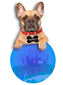 niko-perfil-propietario